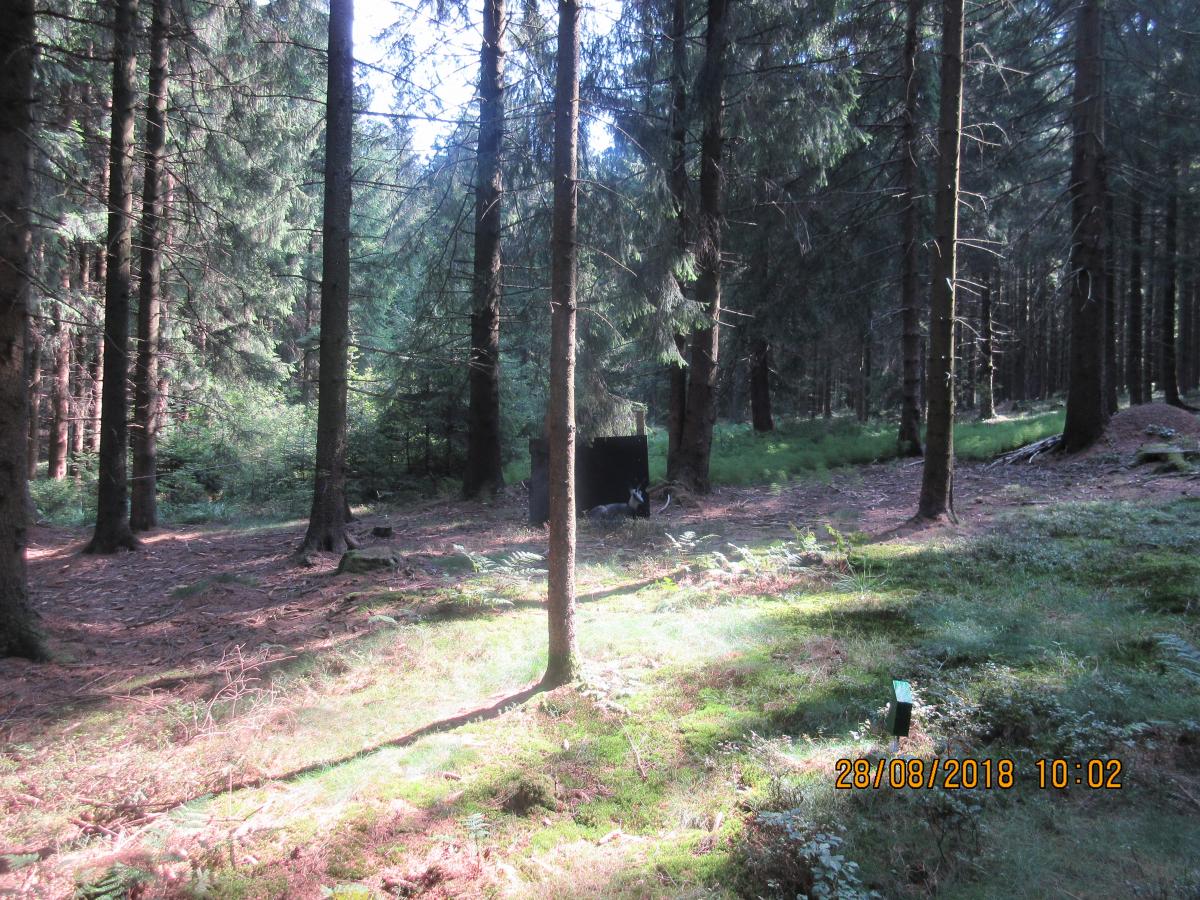 Weixlbaumer (31)