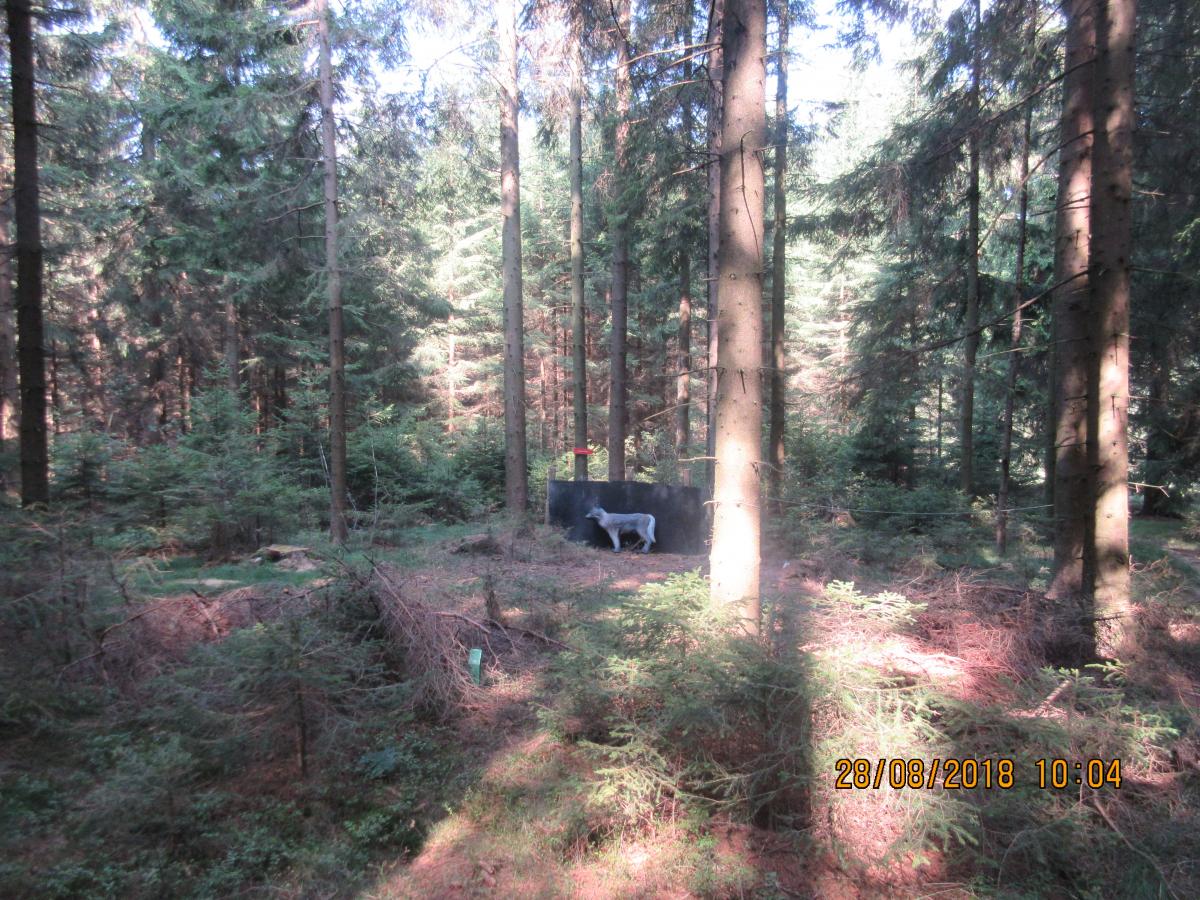 Weixlbaumer (33)