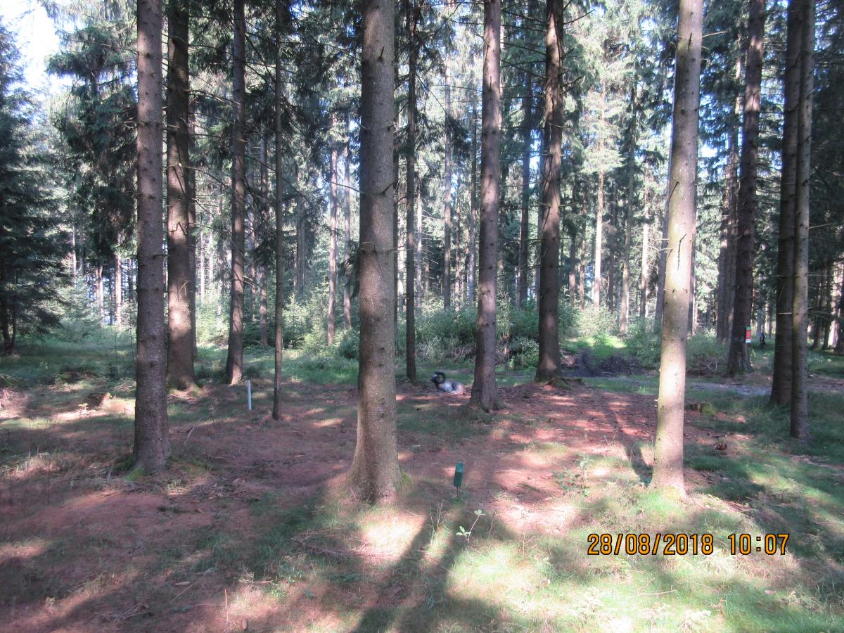 Weixlbaumer (35)