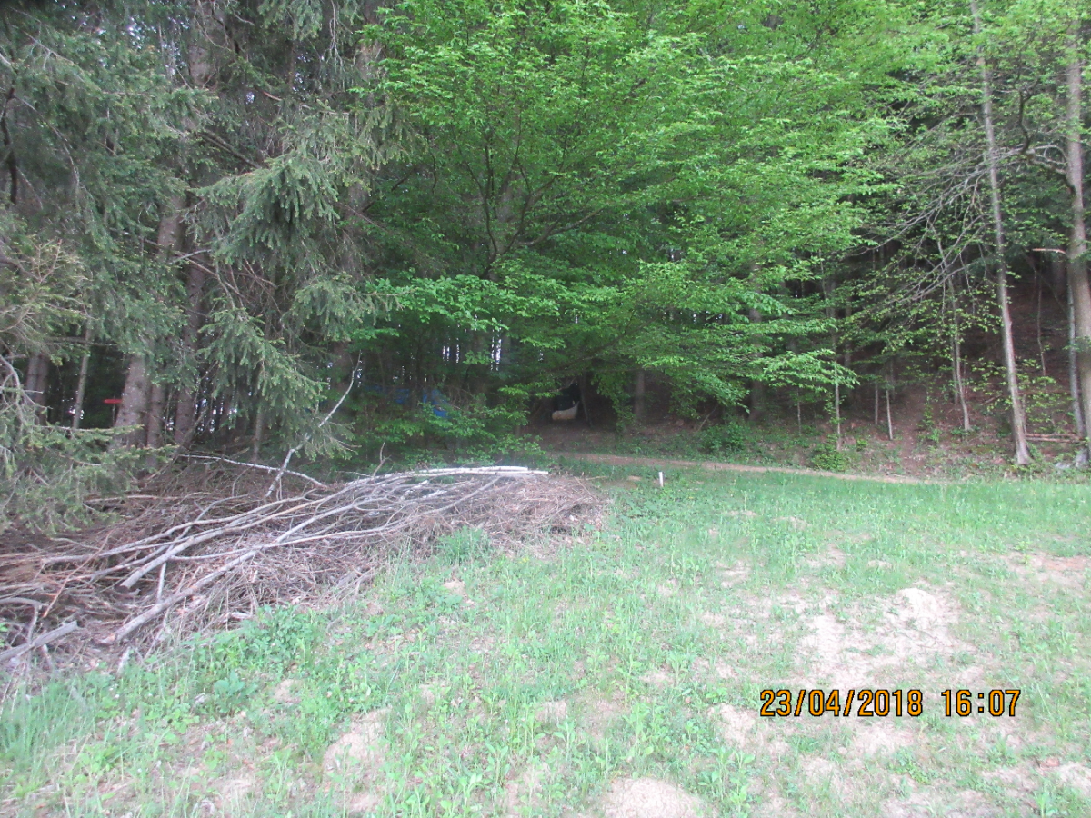 Wolfspfeil (38)