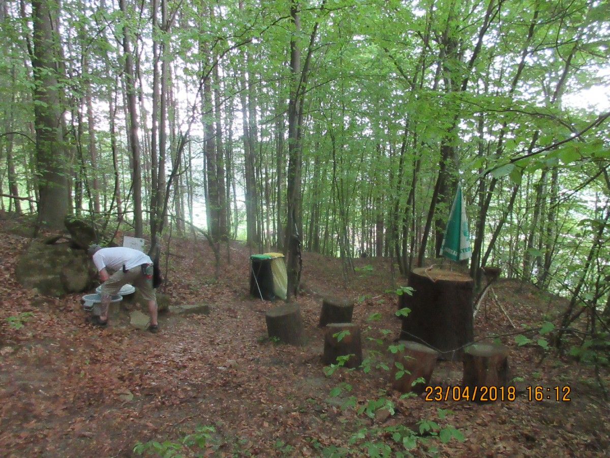 Wolfspfeil (40)