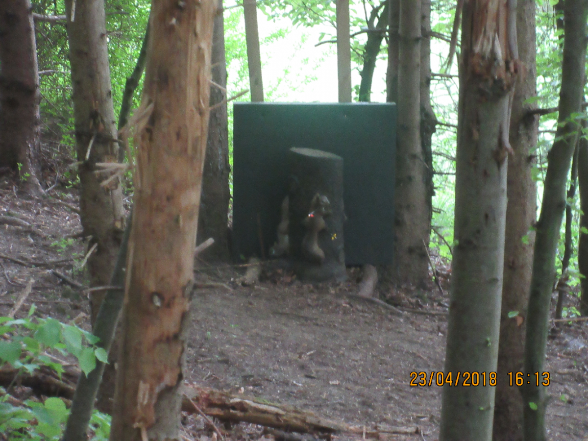 Wolfspfeil (42)