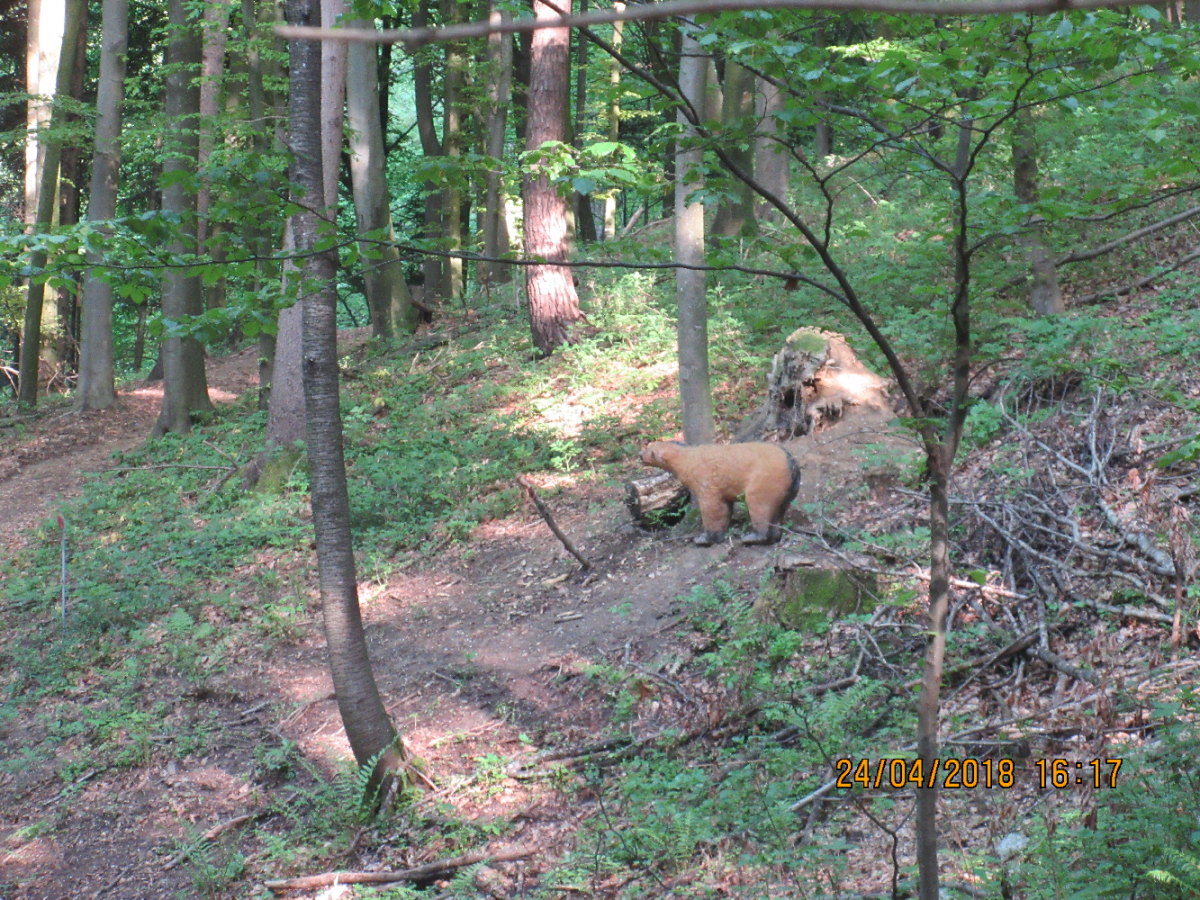 Wolfspfeil (47)