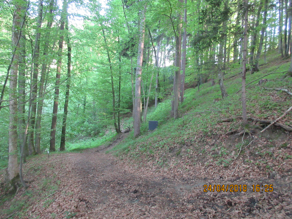 Wolfspfeil (48)