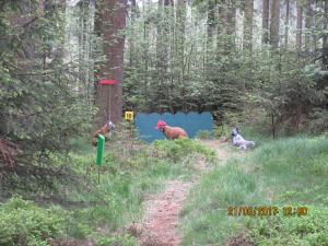 Breitenstein (41)