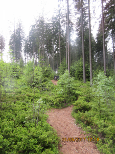 Breitenstein (48)