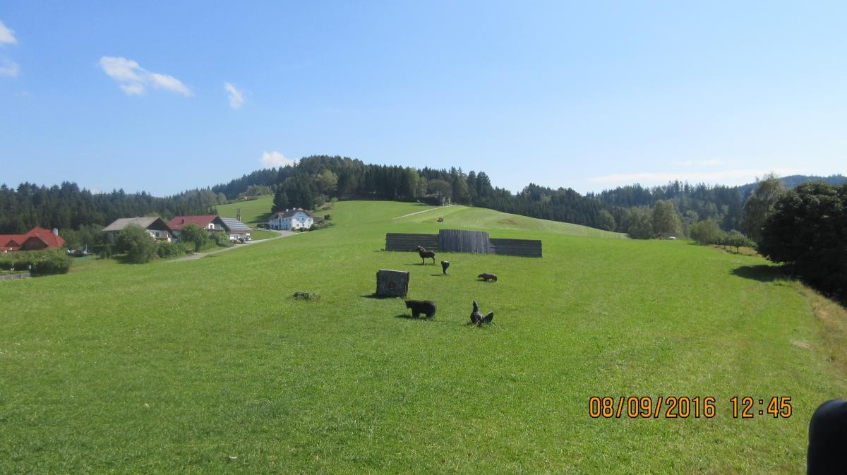 Dorfstetten (2)