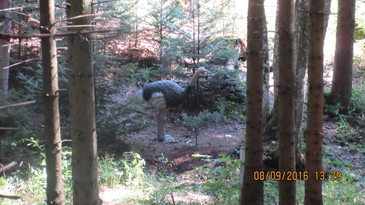 Dorfstetten (24)