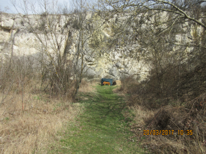 Falkenau (16)
