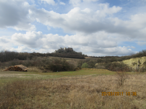 Falkenau (18)