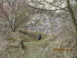 Falkenau (22)