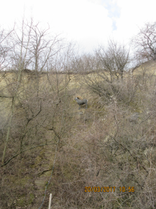 Falkenau (29)