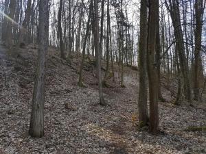 Franziskushof (04)