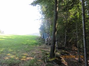 Gresten (38)