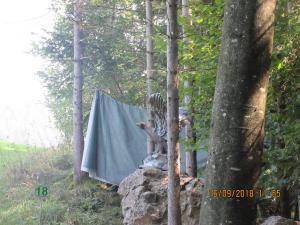 Gresten (39)