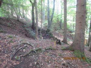 Gresten (46)