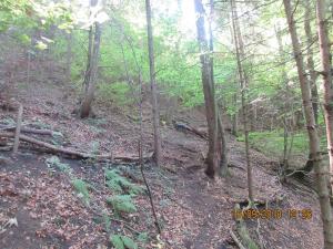 Gresten (48)