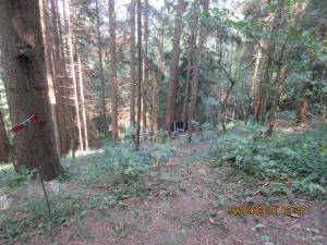 Gresten (50)