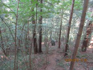 Gresten (52)