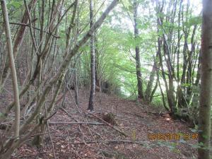 Gresten (64)