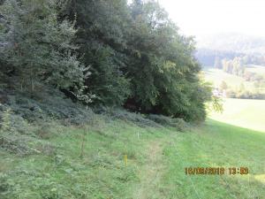 Gresten (66)