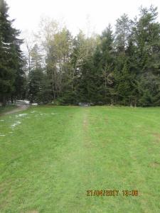 Hallaicher (41)