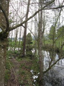 Hallaicher (52)