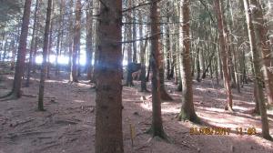 Helfenberg (10)