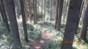 Helfenberg (27)
