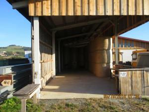 In der Pampas (02)