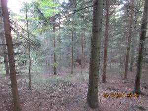 In der Pampas (24)