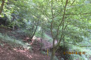 Klamschzlucht (04)