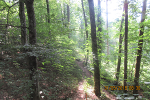 Klamschzlucht (10)