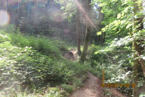 Klamschzlucht (24)