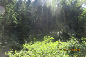 Klamschzlucht (28)