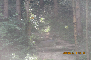 Klamschzlucht (29)