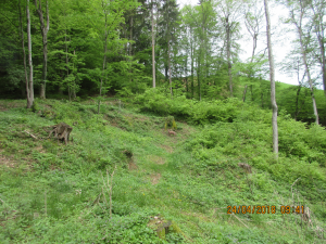 Kästenburg (20)