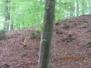 Kästenburg (43)