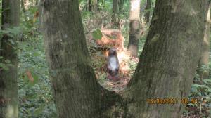 N.Kreuzstetten (47)