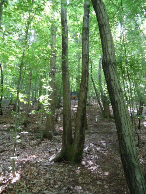 am Parcours