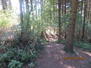 Riegersburg (12)