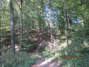 Riegersburg (18)
