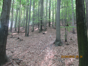 Siebernegg (11)