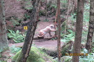 Stoneface (06)