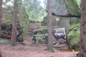 Stoneface (20)