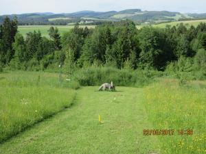 Walhalla Fun (02)