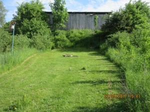 Walhalla Fun (06)