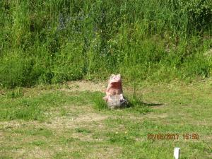 Walhalla Fun (19)