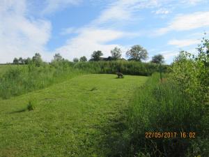 Walhalla Fun (20)