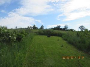 Walhalla Fun (24)